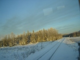 アラスカ鉄道の踏切